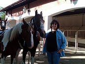 Marisa with two of her prized Mangalarga Paulista yearling colts.