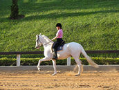 Mary rides a beautiful Mangalarga Paulista white mare.