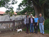 Mary with Paulo Arantes, and owner/breeder Marcelo Baptista de Oliveira and his wife Sophia of Haras Maripa with several of their Mangalarga Marchardo foundation mares