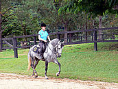 Mary rides stallion Carioca searching for that perfect feel of rhythm and comfort that the Mangalarga Marchardo offers.