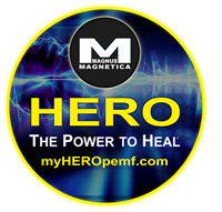 Magnus Magnetica HERO logo